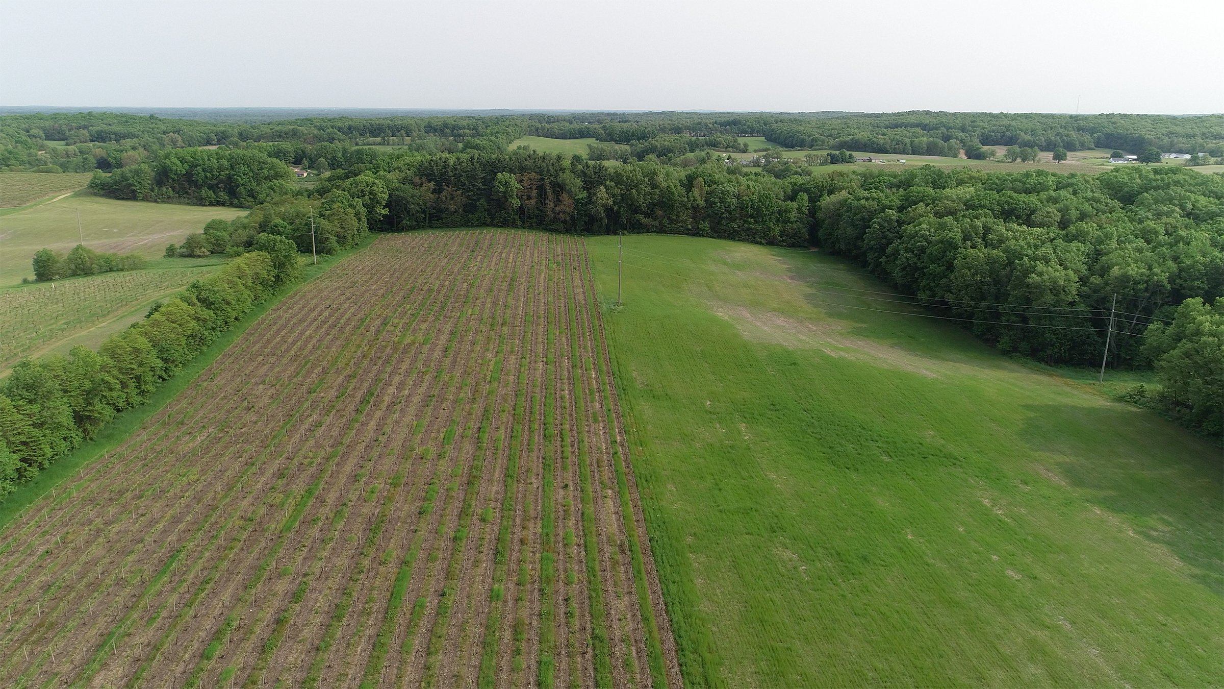 Van Buren County, Michigan farmland - LAND AUCTION - 194+/- ACRES OFFERED IN 5 TRACTS IN VAN BUREN COUNTY, MICHIGAN